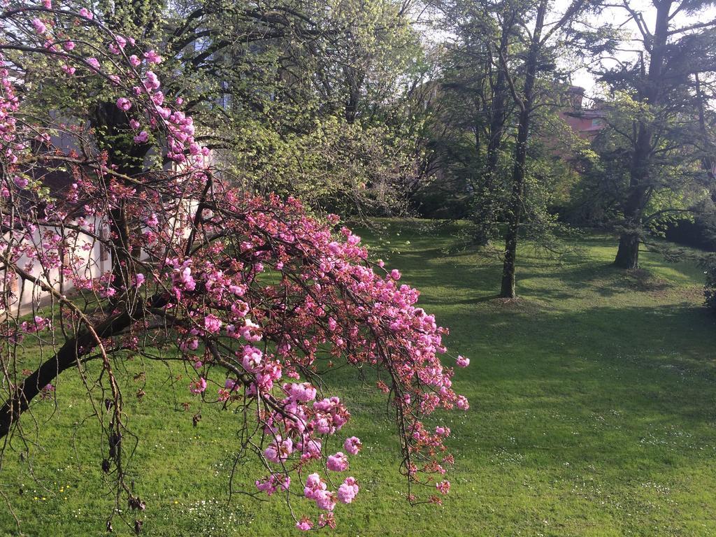 Bed & Breakfast Il Cantelino Padova
